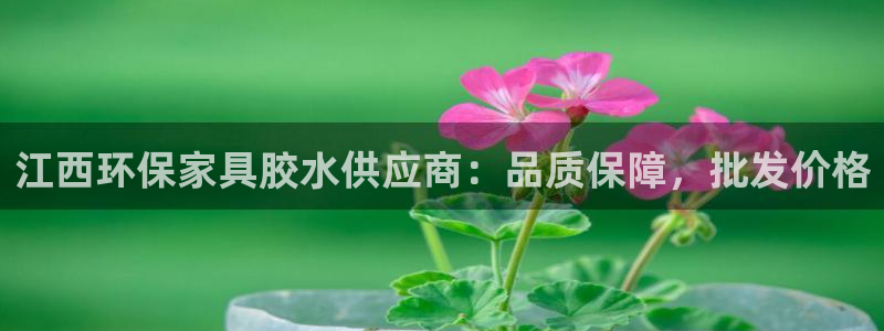 杏耀平台指定