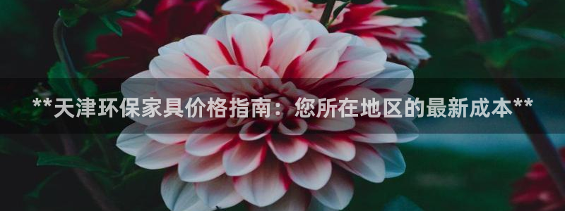 杏耀软件
