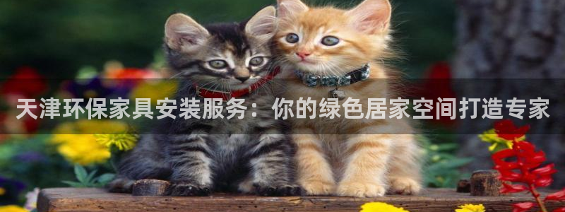 杏耀测速登录地址