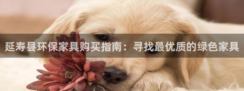 杏耀平台已注册入口
