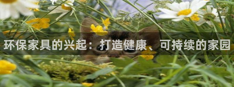 杏耀平台代理注册