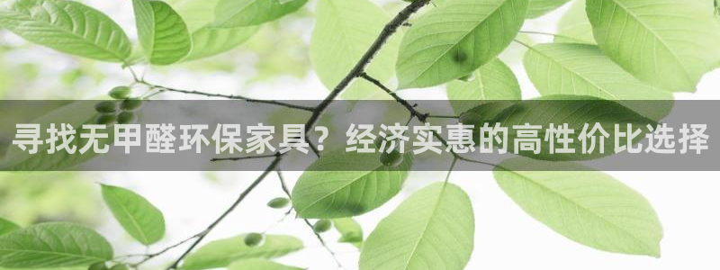 杏耀平台官方登陆