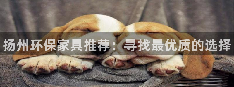 杏耀平台登录入口