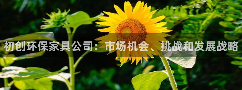 杏耀平台怎么注册