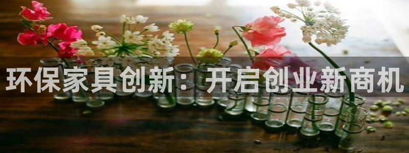 杏耀登录测速：环保家具创新：开启创业新商机
