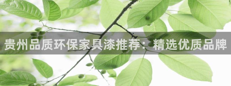 杏耀平台代理怎么赚钱的