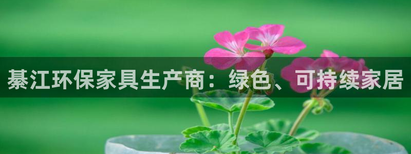 杏耀总代