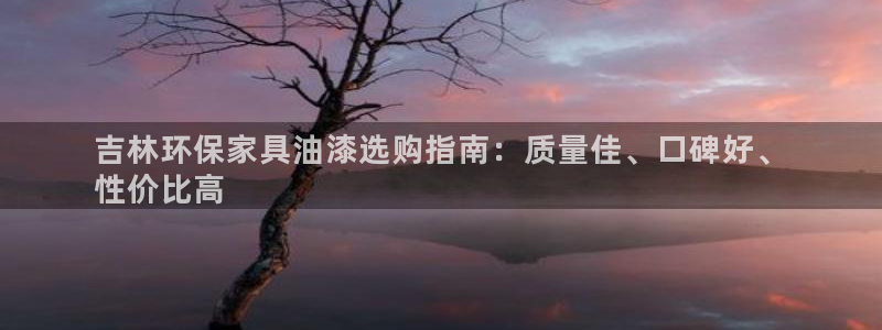 杏耀代理注册中心：吉林环保家具油漆选购指南：质量佳、口碑好、