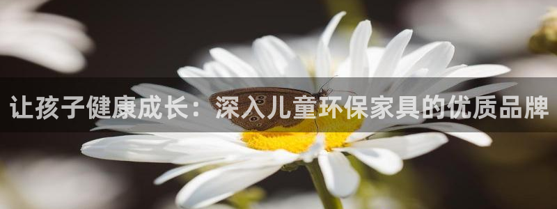 杏耀平台代理：让孩子健康成长：深入儿童环保家具的优质品牌