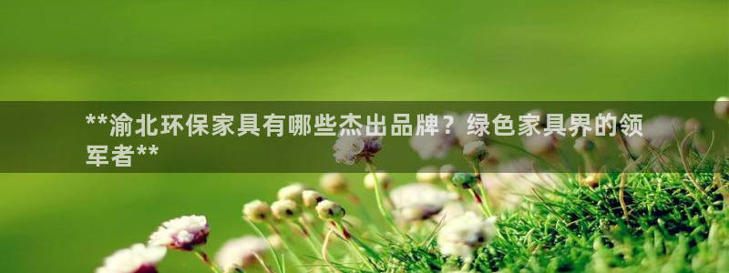 杏耀手机客户端：**渝北环保家具有哪些杰出品牌？绿色家具界的