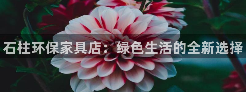 杏耀平台怎样