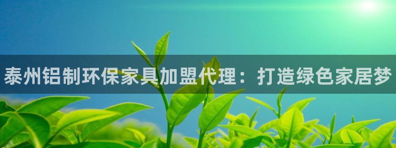 杏耀总代理：泰州铝制环保家具加盟代理：打造绿色家居梦
