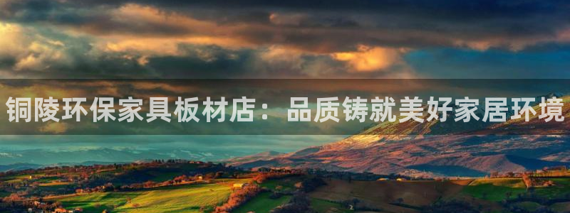 杏耀平台地址：铜陵环保家具板材店：品质铸就美好家居环境