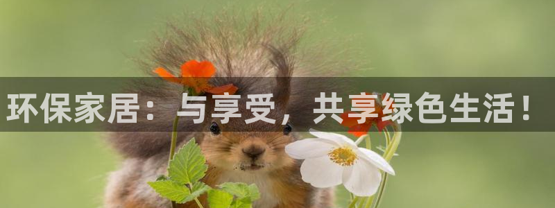 杏耀管网登录：环保家居：与享受，共享绿色生活！