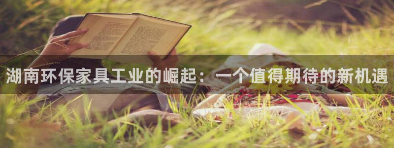 杏耀注册网址：湖南环保家具工业的崛起：一个值得期待的新机遇