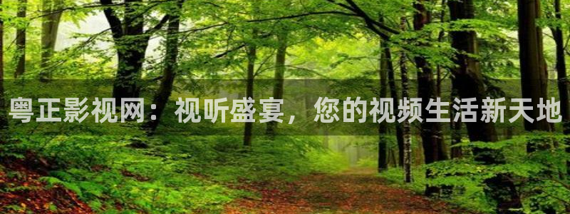 开心影院在线观看：粤正影视网：视听盛宴，您的视频生活新天地