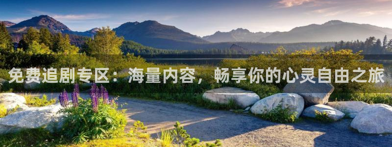 开心影院免费高清电视剧