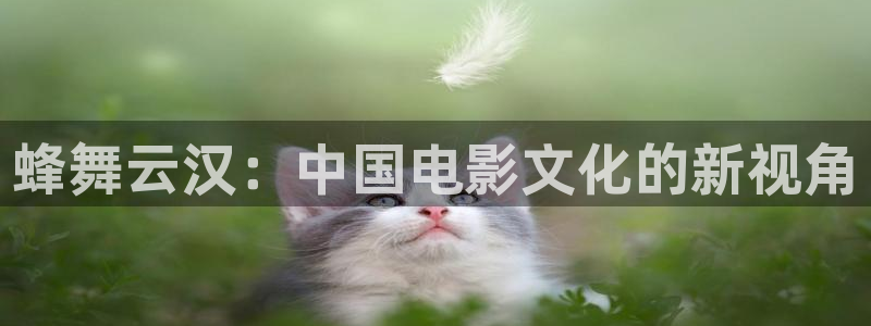 开心影院看电影：蜂舞云汉：中国电影文化的新视角