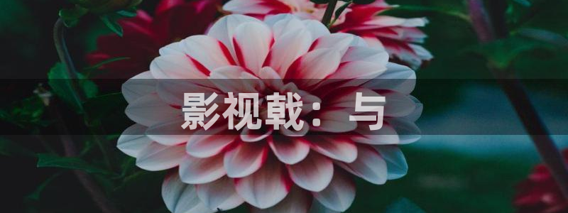 开心影院免费在线观看：影视戟：与
