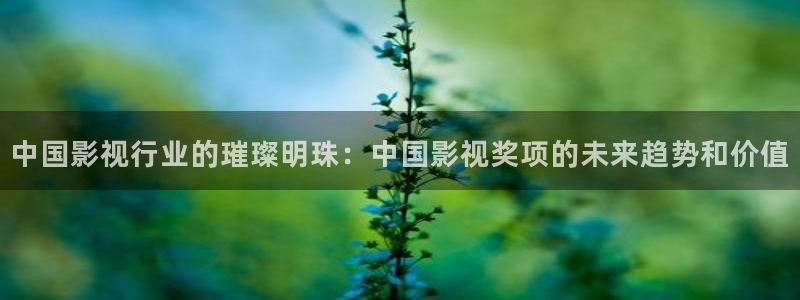 开心影院在线：中国影视行业的璀璨明珠：中国影视奖项的未来趋势和价值